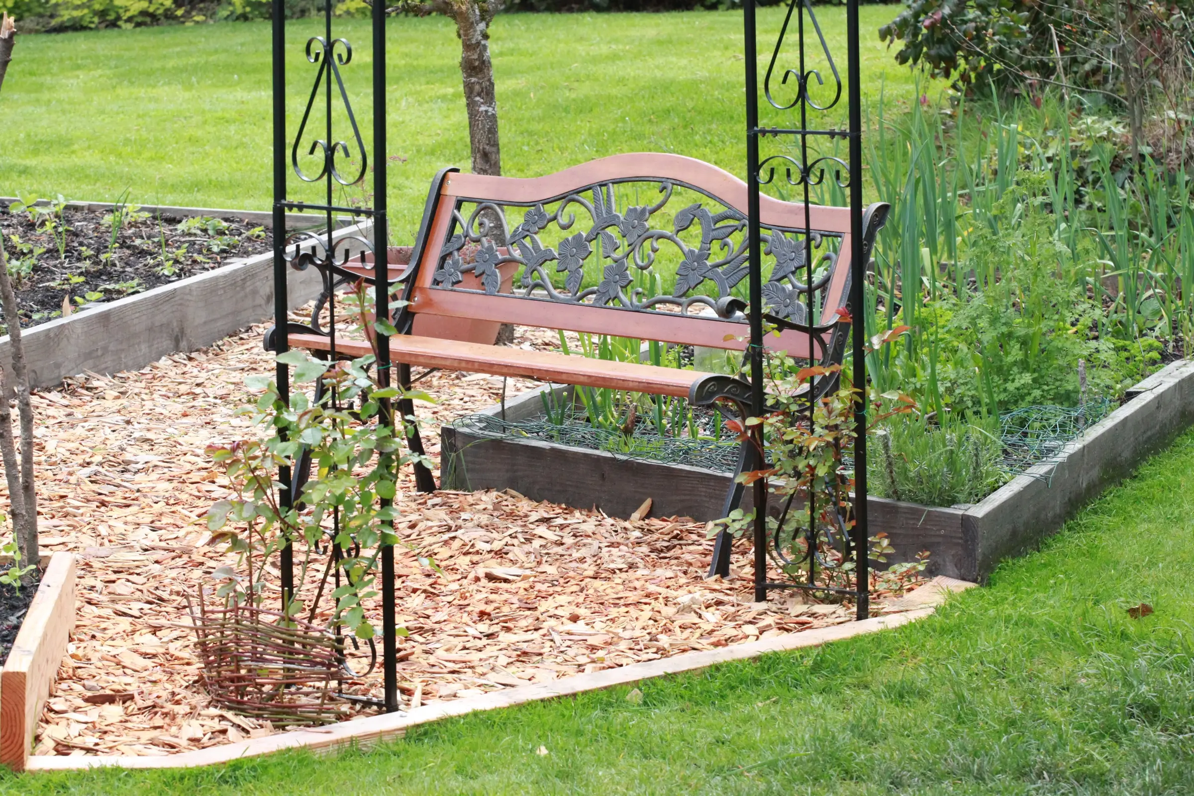 A bench set into the kitchen garden, with young climbing roses on their supports.